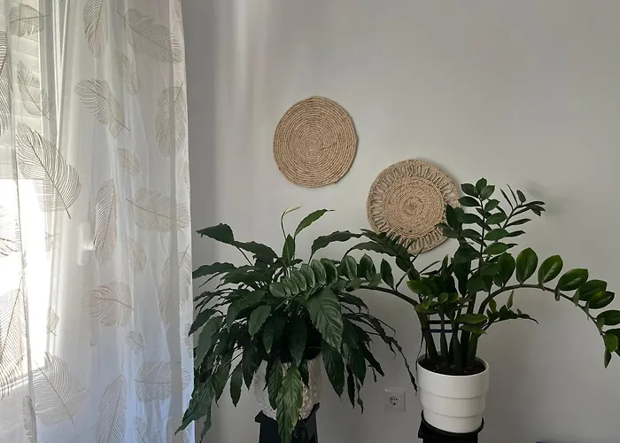 Casablanca 95 * Vigo